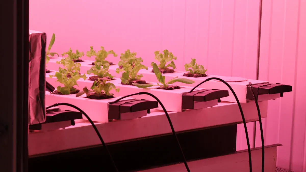 Maaari bang makatulong ang mga vertical na ilaw ng ilaw